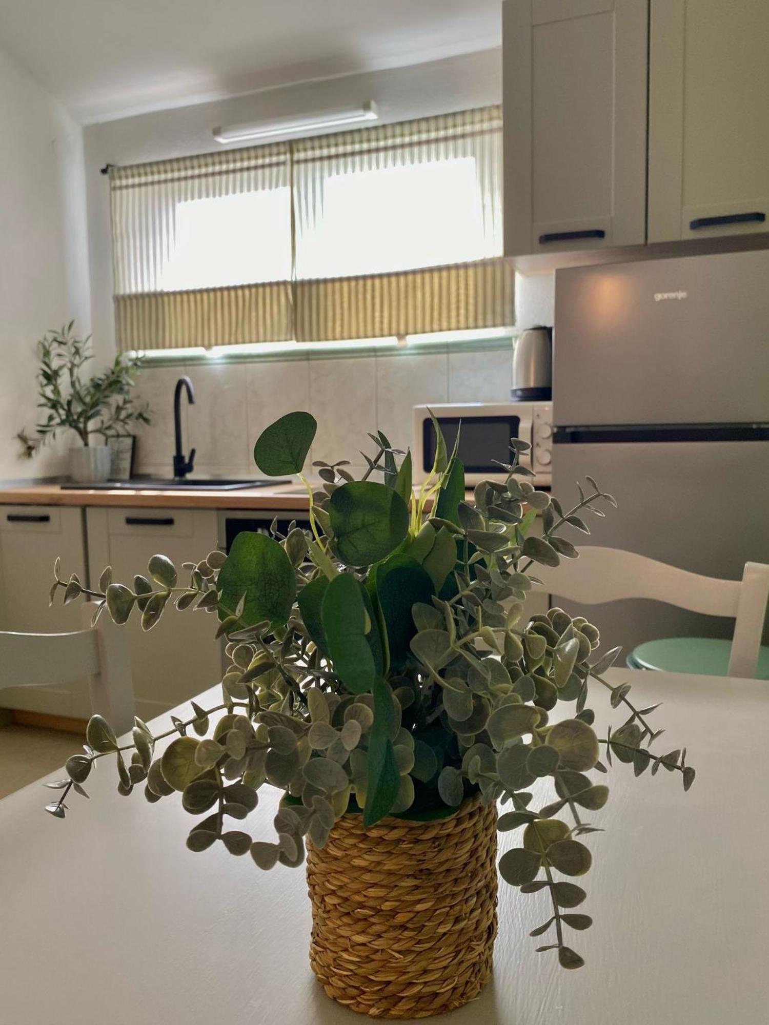 Apartments Maria 库克利卡 外观 照片